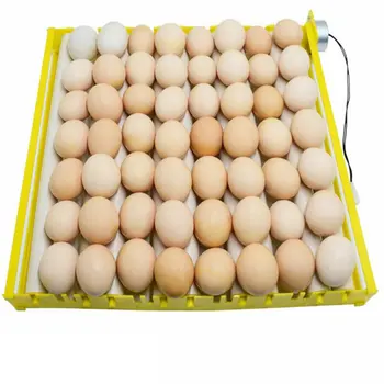Plastikiniai Kiaušiniai Inkubatoriaus Priedai Patvarus Pasukimo Automatinė Roller Modelis Kiaušinių Turner Dėklas Buitinių Kiaušinių Dėklas